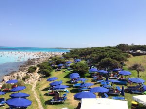 ペローザパラソル＆人ごみ８００