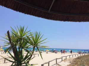 海辺レストランから見るビーチ８００