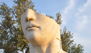 切断頭部切り取り400