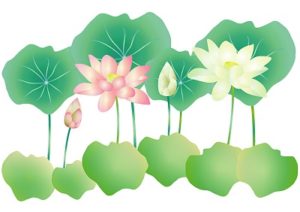 ナンの花？400-1