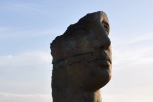 脳かけ右向き800