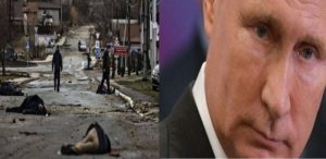 合成ブチャプーPazzo800